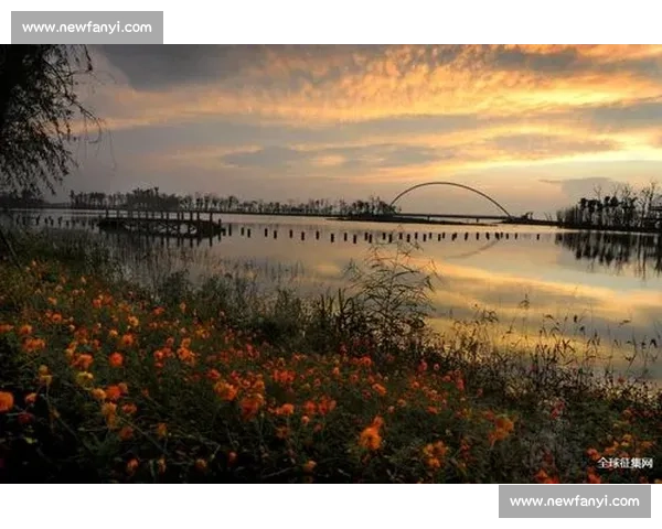 宿迁摄影比赛精彩纷呈，展现城市魅力与自然风光的完美融合